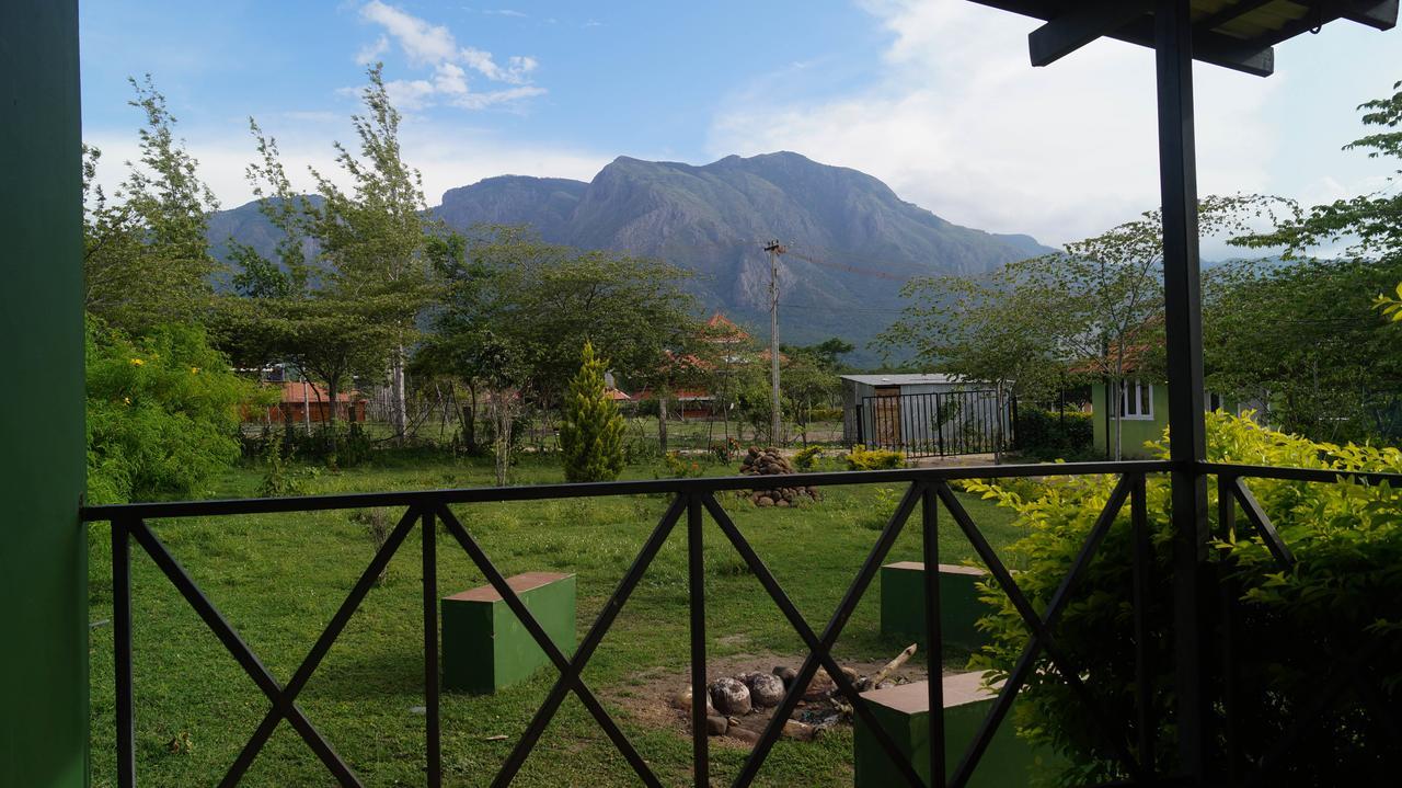 Mountain View Hotel Masinagudi Bagian luar foto