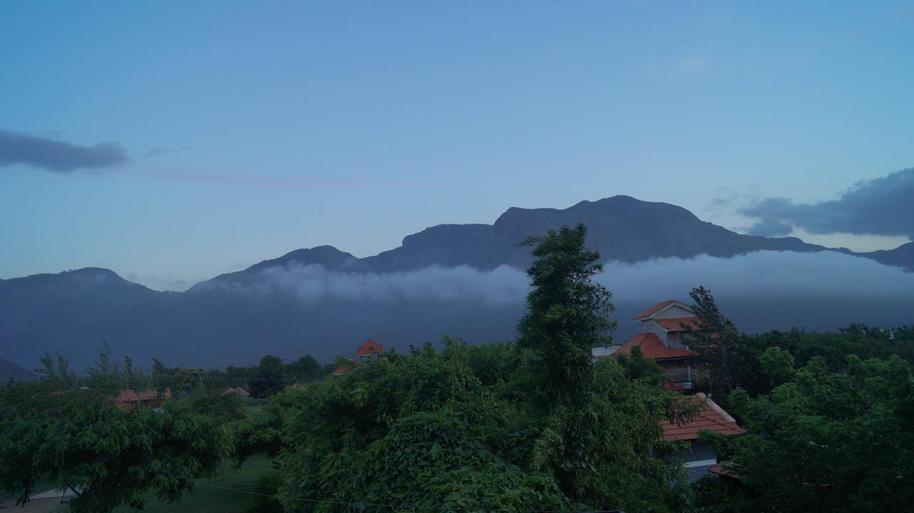 Mountain View Hotel Masinagudi Bagian luar foto