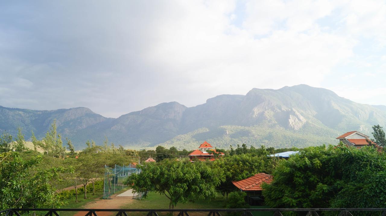 Mountain View Hotel Masinagudi Bagian luar foto